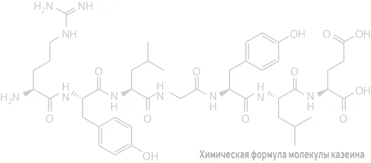 Химическая формула молекулы казеина